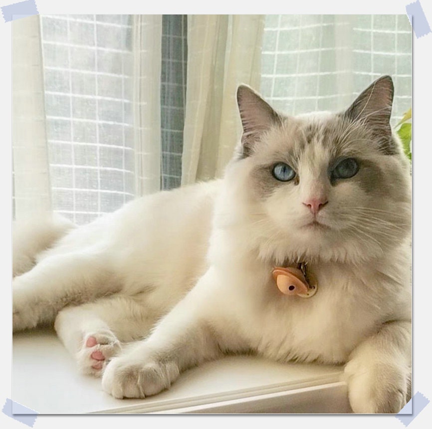 Handmade Genuine Leather Pet Bell: Dog Cat Collar Charm